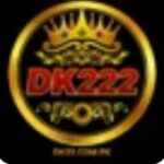 dk222 game logo