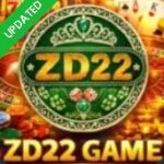 zd22 game